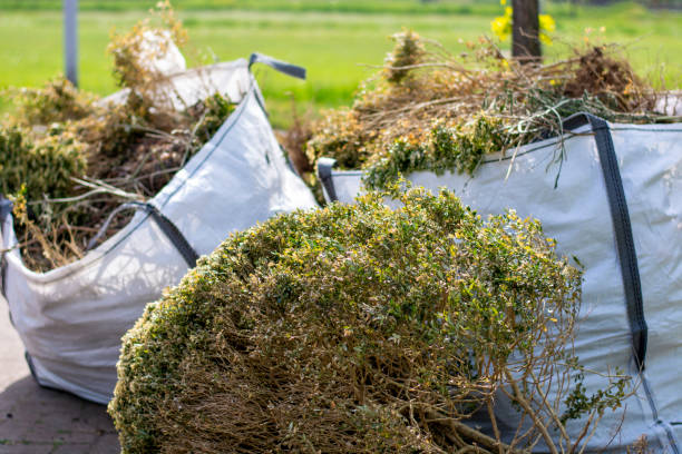 Best Carpet Removal and Disposal  in Folsom, NJ